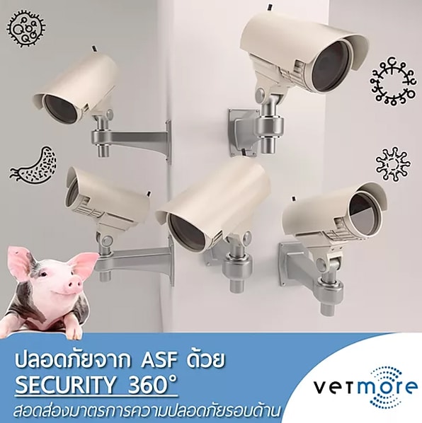 ปลอดภัยจาก ASF ด้วย SECURITY 360°: ป้องกันให้ครบ จบทุกด้าน